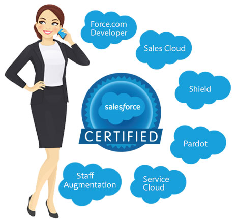 Salesforce Business Consultant Brisbane